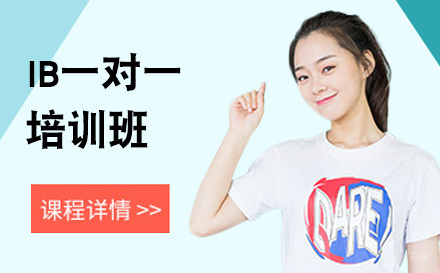 IB一对一培训班