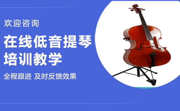在线低音提琴培训教学