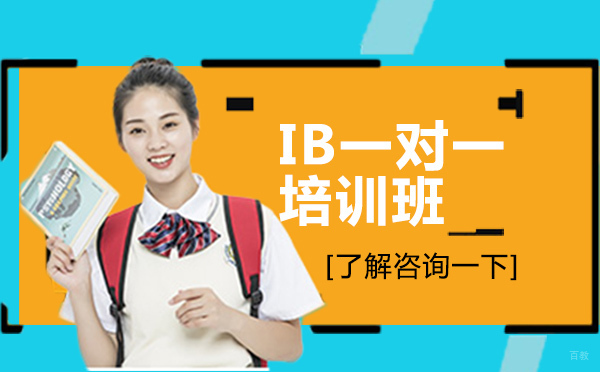 IB一对一培训班