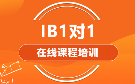 深圳IB一对一在线课程培训