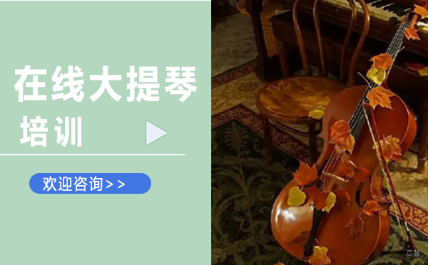 西安在线大提琴培训