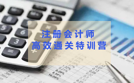注册会计师高效通关特训营