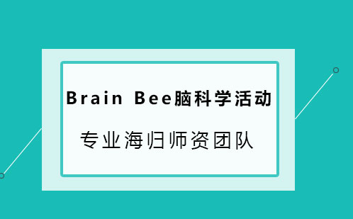 Brain Bee脑科学活动