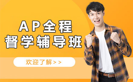 AP全程督学辅导班