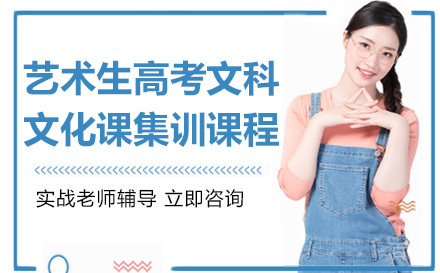 艺术生高考文科文化课集训课程