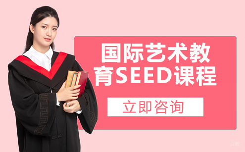 国际艺术教育SEED课程