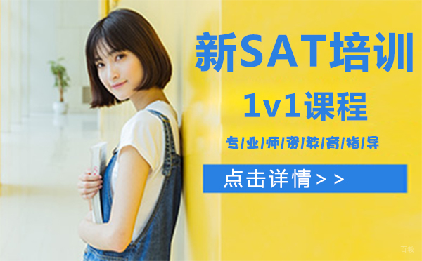 上海新SAT培训1v1课程
