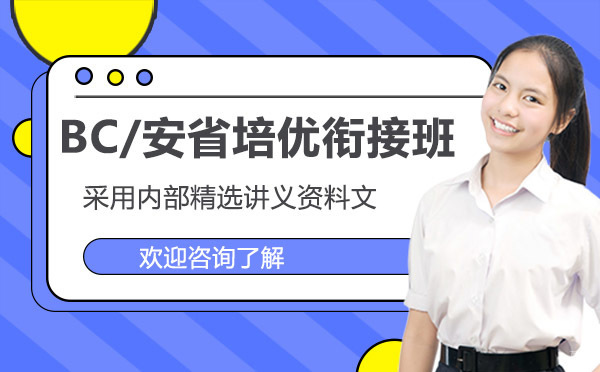 昆明BC/安省培优衔接班