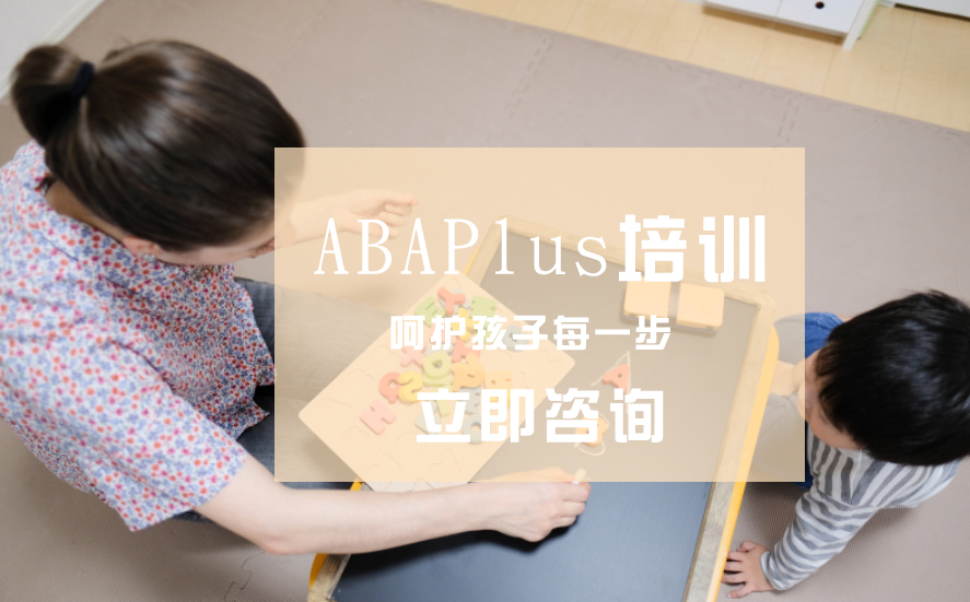 ABAPlus培训机构
