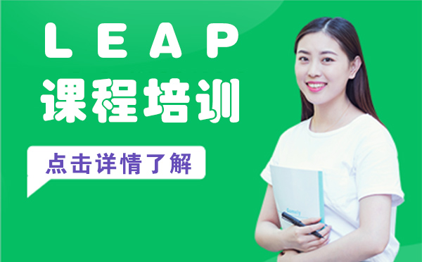 上海Leap课程培训