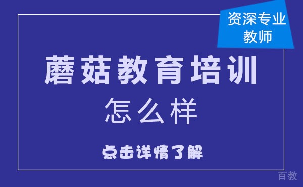 上海蘑菇教育培训机构怎么样 