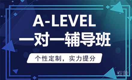A-LEVEL一对一辅导班