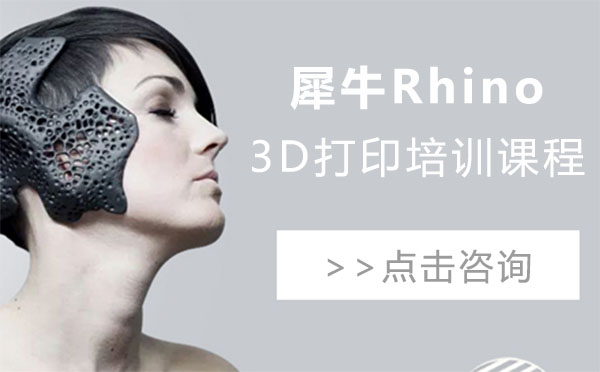 上海犀牛Rhino+3D打印培训课程