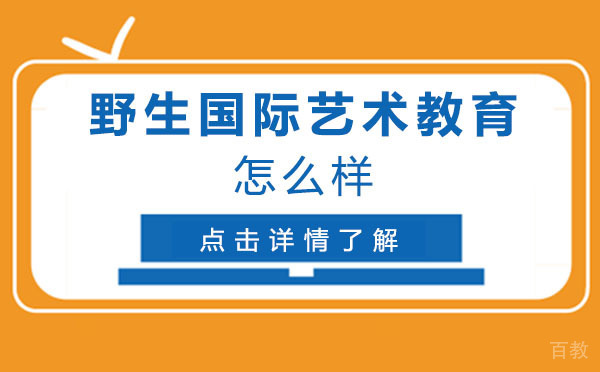 上海野生国际艺术教育怎么样 