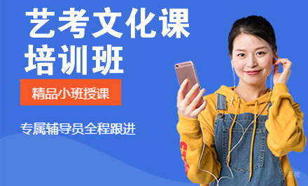 艺考文化课培训班
