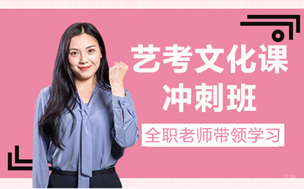 艺考文化课冲刺班