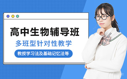 高中生物辅导班