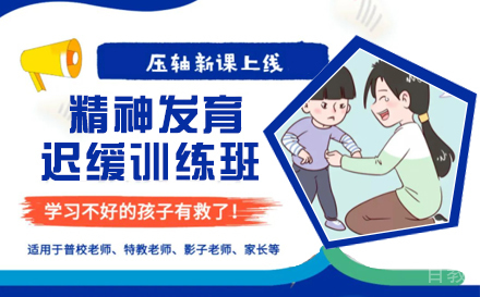 石家庄精神发育迟缓训练班