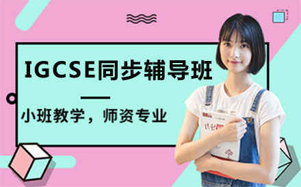 上海IGCSE同步辅导培训班