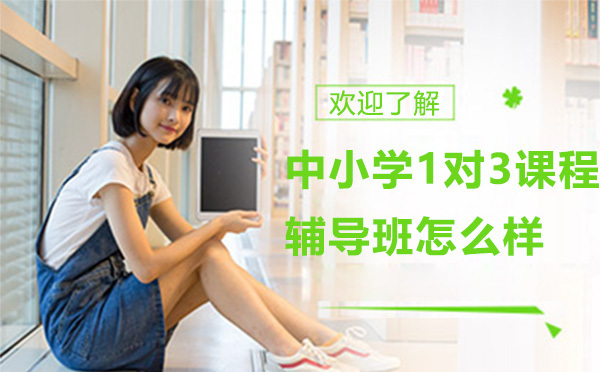 昂立1对3课程辅导班怎么样