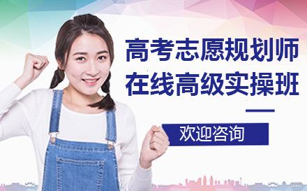 高考志愿规划师在线高级实操班