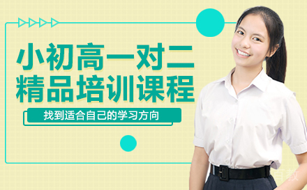 小初高一对二精品培训课程
