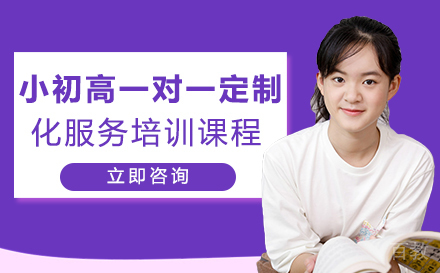 小初高一对一定制化服务培训课程