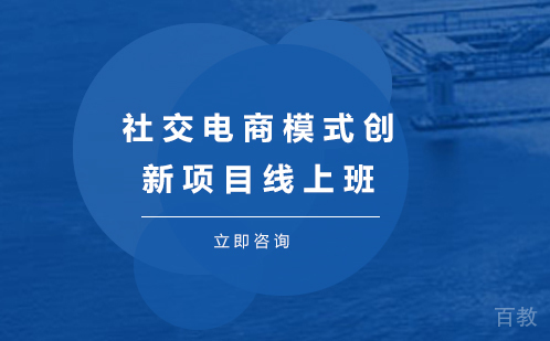 社交电商模式创新项目线上班