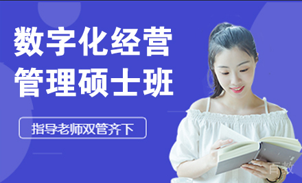 法国数字化经营与管理硕士班