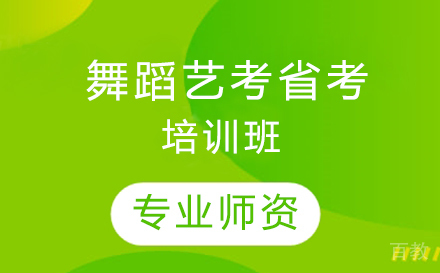 舞蹈艺考省考培训班