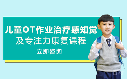 儿童OT作业治疗感知觉及专注力康复课程