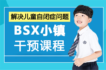 郑州儿童自闭症BSX小镇干预课程