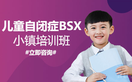 儿童自闭症BSX小镇培训班