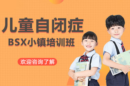 深圳儿童自闭症BSX小镇培训班