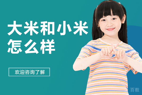 深圳大米和小米怎么样-好不好 