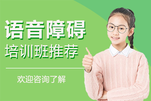 深圳语音障碍培训班推荐-深圳大米和小米 