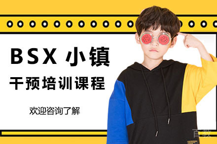 广州BSX小镇干预培训课程