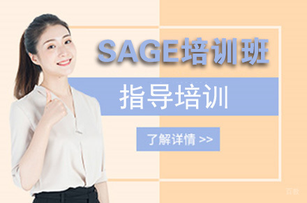 SAGE国际竞赛培训班