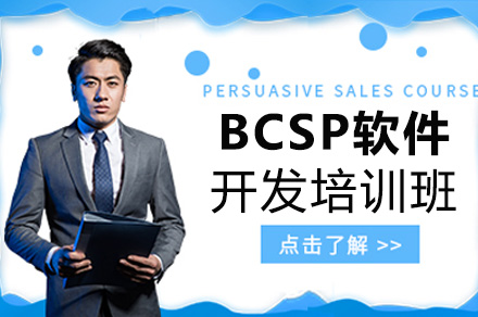 BCSP软件开发培训班
