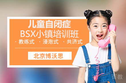 儿童自闭症BSX小镇培训班