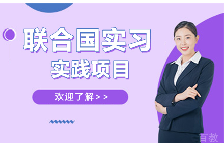 联合国实习实践项目