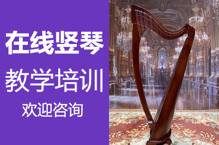 郑州在线竖琴教学培训