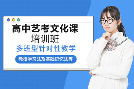 高中艺考文化课培训班