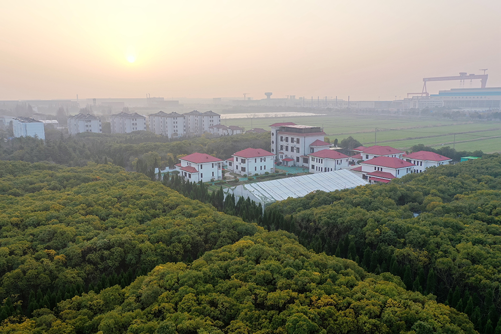 上海朝阳义塾日本国际高中绿化环境