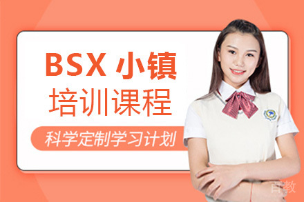 BSX小镇培训课程