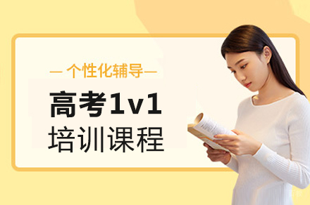 高考一对一培训课程
