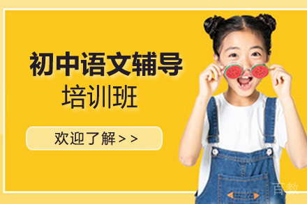 初中语文辅导培训班