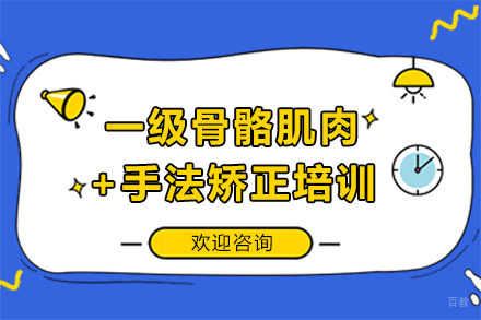 深圳一级骨骼肌肉+手法矫正培训