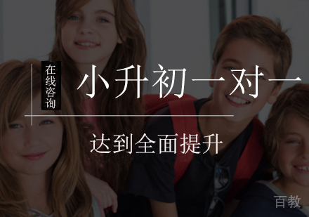 小升初一对一辅导班