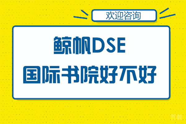 深圳鲸帆DSE国际书院好不好